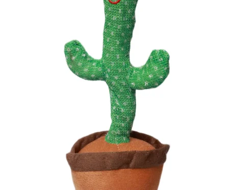 Dancing Cactus